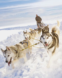 玩转体育封面图