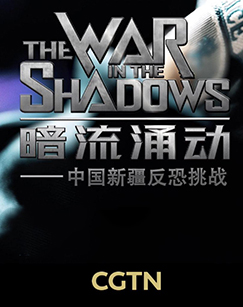 暗流涌动——中国新疆反恐挑战封面图