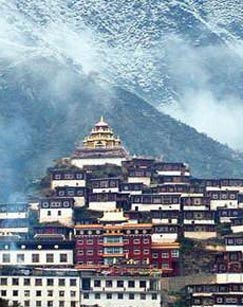 寻找三神山封面图