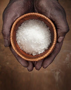 生命之盐封面图