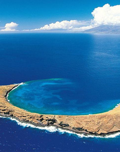 魅力马尔代夫封面图