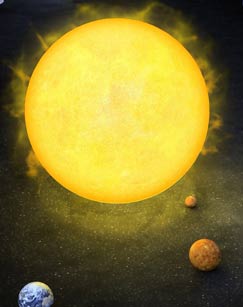 追日行动封面图