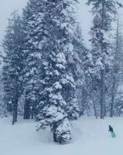 冰雪之巅封面图