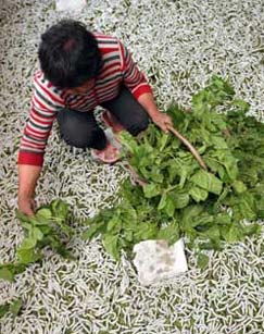 一个人的战争封面图