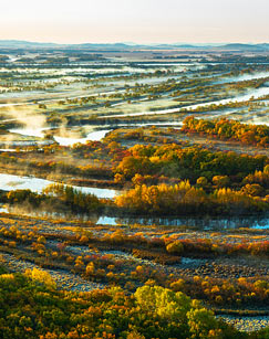 希望的田野·乌苏里新歌封面图