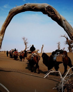 探险家奶爸封面图