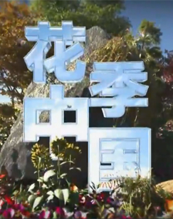 四集纪录片花季中国封面图