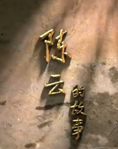 陈云的故事封面图