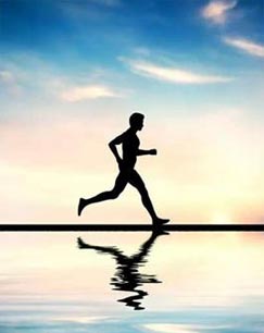 身体的秘密封面图