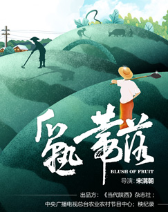 瓜熟蒂落封面图