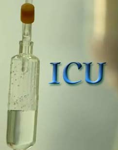 ICU的日与夜封面图