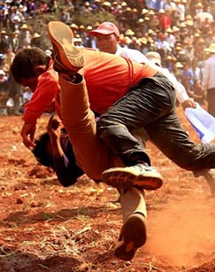 撒尼跤王封面图