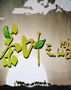 纪录频道茶叶之路封面图