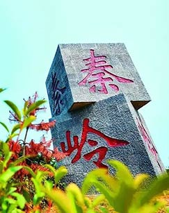 守望秦岭封面图