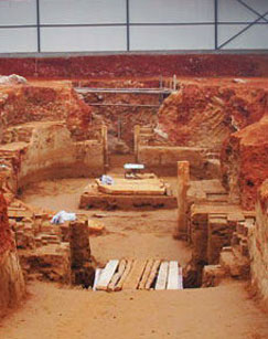 古墓迷思封面图