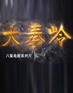 纪录片大秦岭封面图