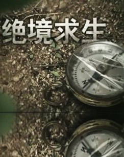 绝境求生封面图