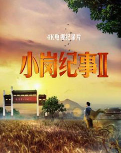 小岗纪事（第二季）封面图