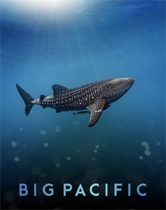 大太平洋封面图