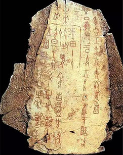 甲骨王朝封面图