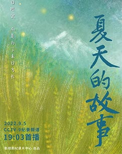 夏天的故事封面图