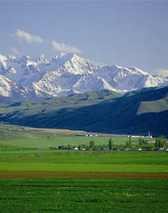 天山走廊封面图