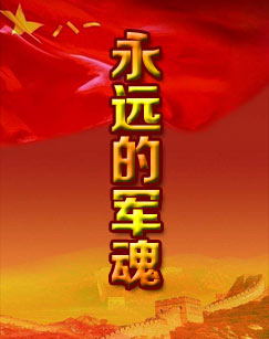 永远的军魂封面图