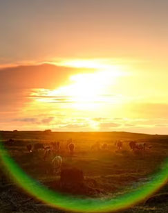 草原上升起不落的太阳封面图