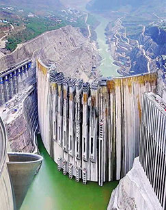 鹤舞长江封面图