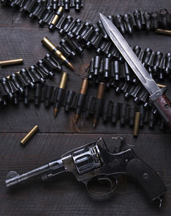 极限火力封面图