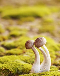 纪录片采集部落封面图