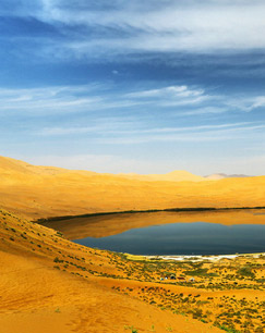 沙漠中的千岛湖封面图