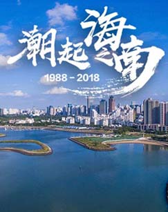 潮起海之南封面图