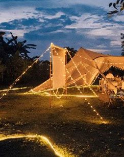 路过你的世界封面图