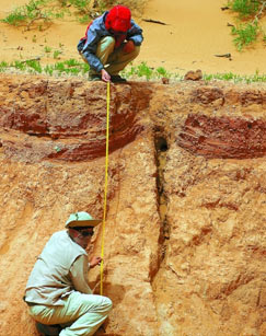 向往鹰的飞翔封面图