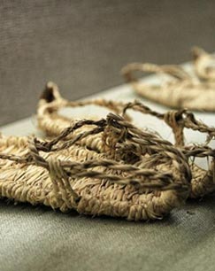 隐秘征程—红军长征在四川封面图