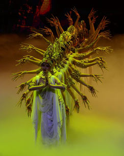 穿越丝路的花雨封面图