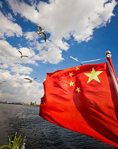 奋进的中国封面图