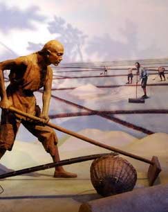 海盐传奇封面图