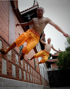 功夫与我封面图