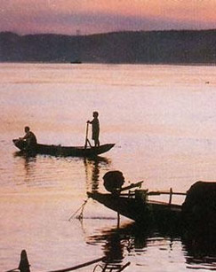 海浪河子民封面图