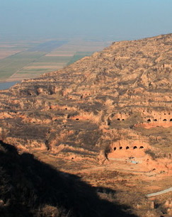 鹤舞邙山封面图