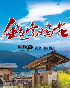 金色索玛花封面图