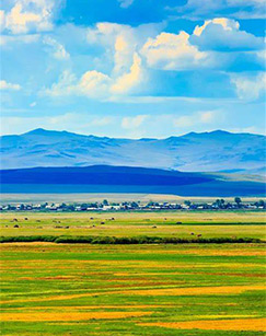 行走天下——草原封面图