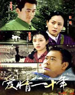 爱情二十年封面图