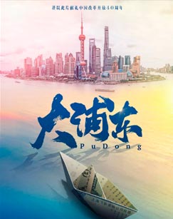 大浦东封面图
