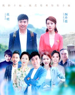 最美的安排封面图