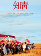 知青封面图
