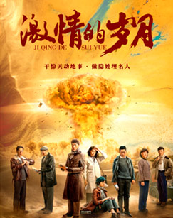 激情的岁月封面图