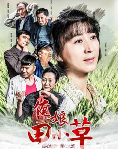 俺娘田小草封面图